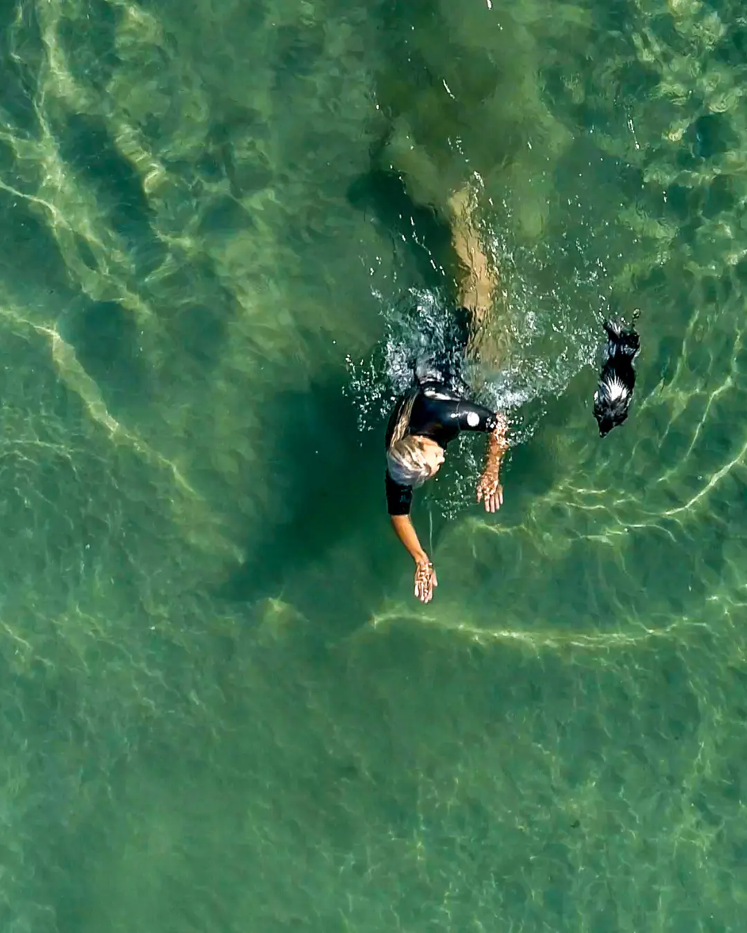 Women swimming with dog photo by Totally Digital website development orbit social